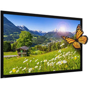 Projecta HomeScreen Deluxe 163x260 Matte