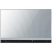 LG - Afficheur Professionnel 55" 55EW5G-V
