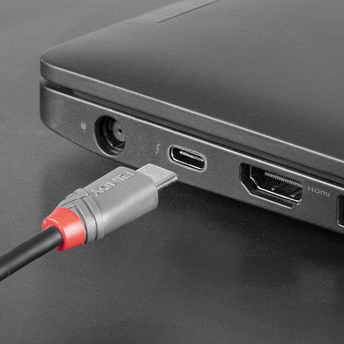 LINDY Câble USB 2.0 Type C vers Micro-B Anthra Line 2m