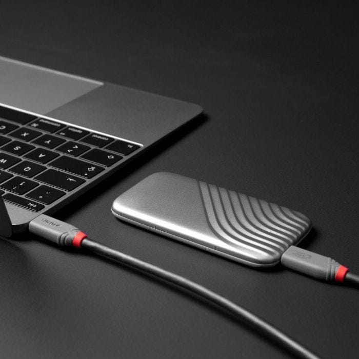 LINDY 0.8m USB 4 240W Type C Cable Anthra Line
