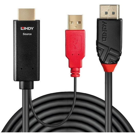 Lindy - Câble HDMI vers DisplayPort, 0.5m