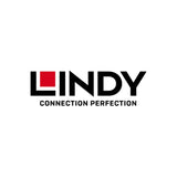 Lindy Câble Réseau Cat6a 1 m Noir (47691)