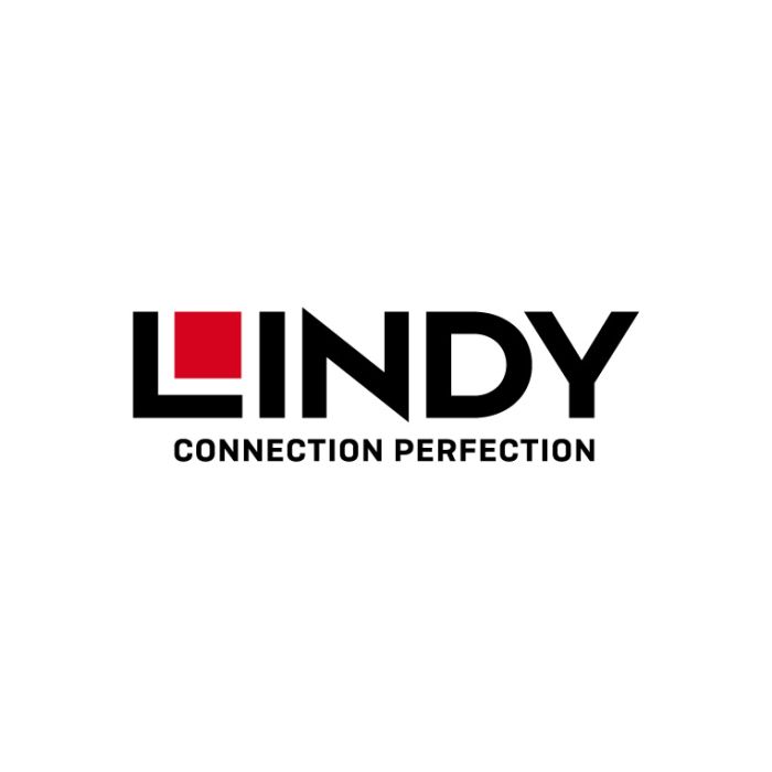 Lindy 43382 Boîtier de disques de stockage Enceinte SSD M.2 Argent