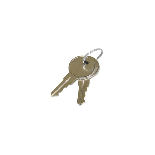 Middle Atlantic Products SFD-KEY Accessoire pour Rack Clé de Verrouillage (Lot de 2)