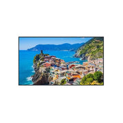 Panasonic 86in Class 4K Digital Display