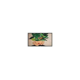 PHILIPS- Afficheur professionnel 32" 32BDL4511D/00