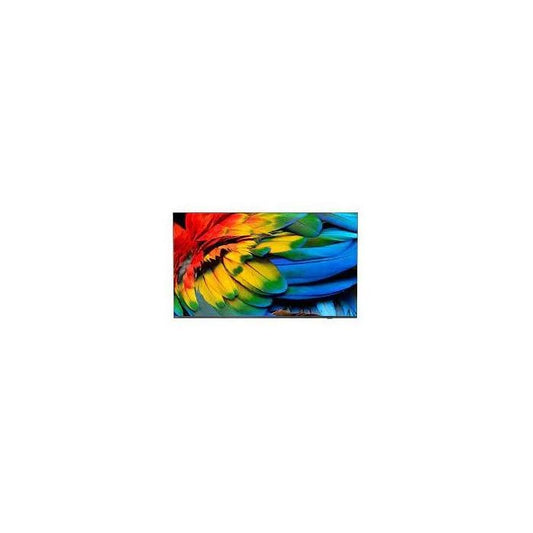 Philips 50HFL6214U Smart TV 4K Ultra HD (Écran enroulable)