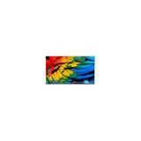 Philips 50HFL6214U Smart TV 4K Ultra HD (Écran enroulable)