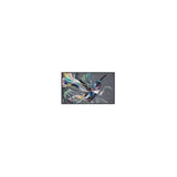 PHILIPS- Afficheur professionnel 75   75BDL3511Q/00