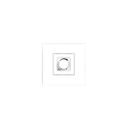 Powersoft White volume control wall plate