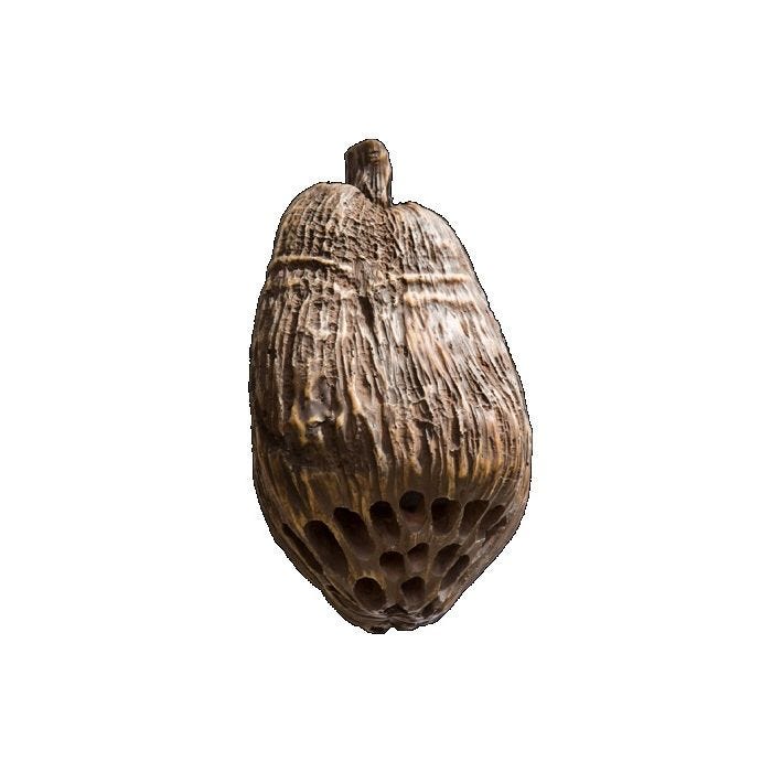 MSE 5.25in two-way Outdoor Coconutz Speaker